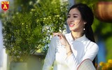 Ngẩn ngơ ngắm hoa khôi sinh viên Hà Nội khoe sắc bên cúc họa mi
